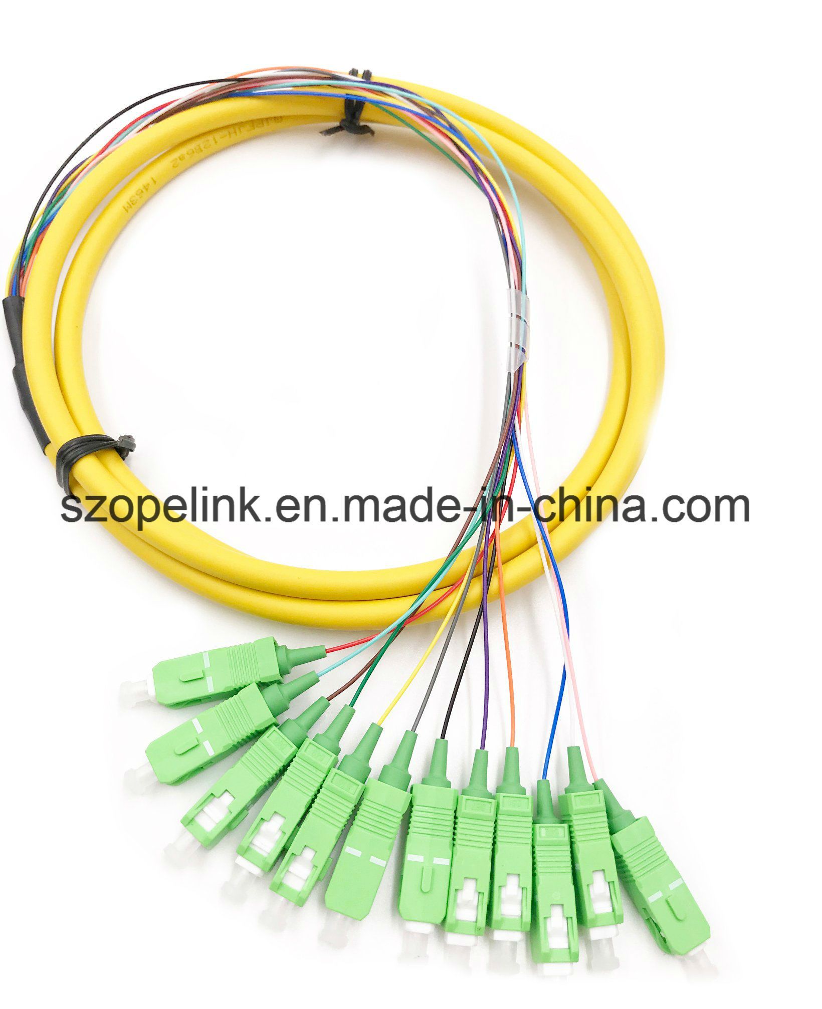 Optical Fiber 12 Cores Bound Pigtail for Fiber Optic Data Transmission/Network