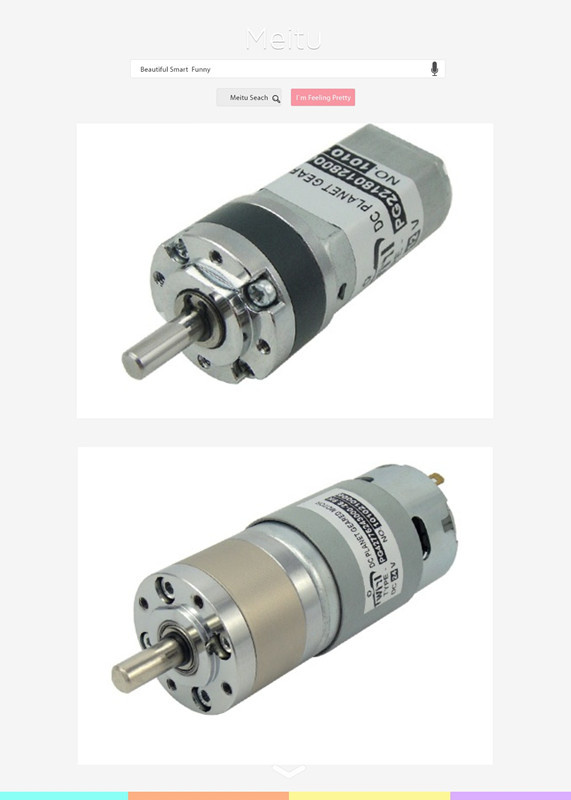 DC 25mm Plantary Gear Motor
