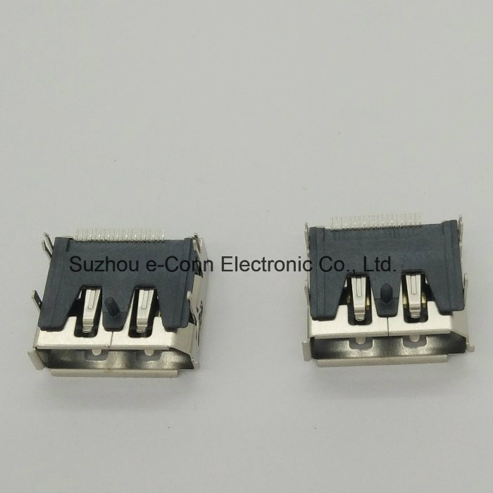 Display Port Connector