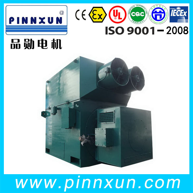 Yrkk High Voltage Three Phase Induction Motor