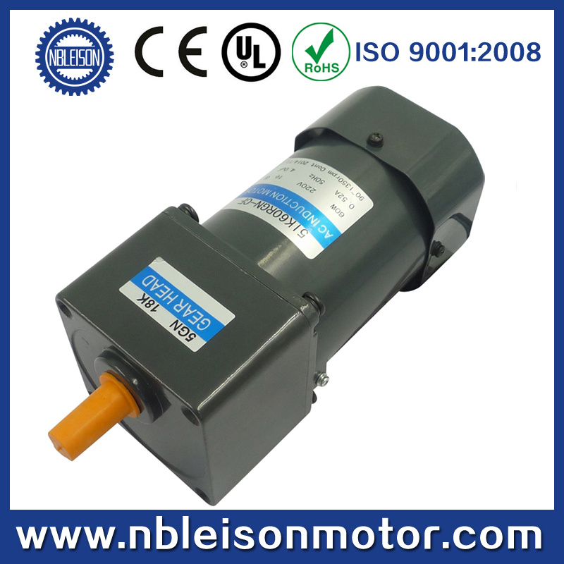 Single Phase 60W AC Induction Gear Motor