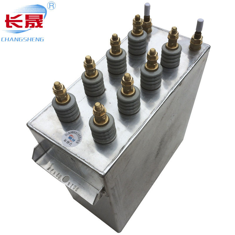 Rfm1.2-2400-0.7s kvar Capacitor