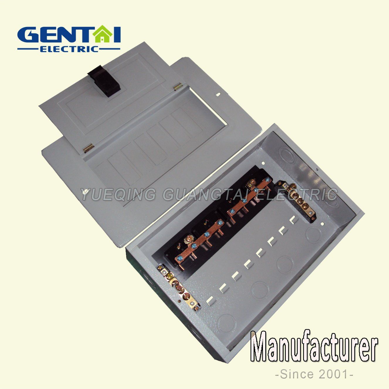 Good Quality Tls-8way Economy Ge Type Plug in Panel Box
