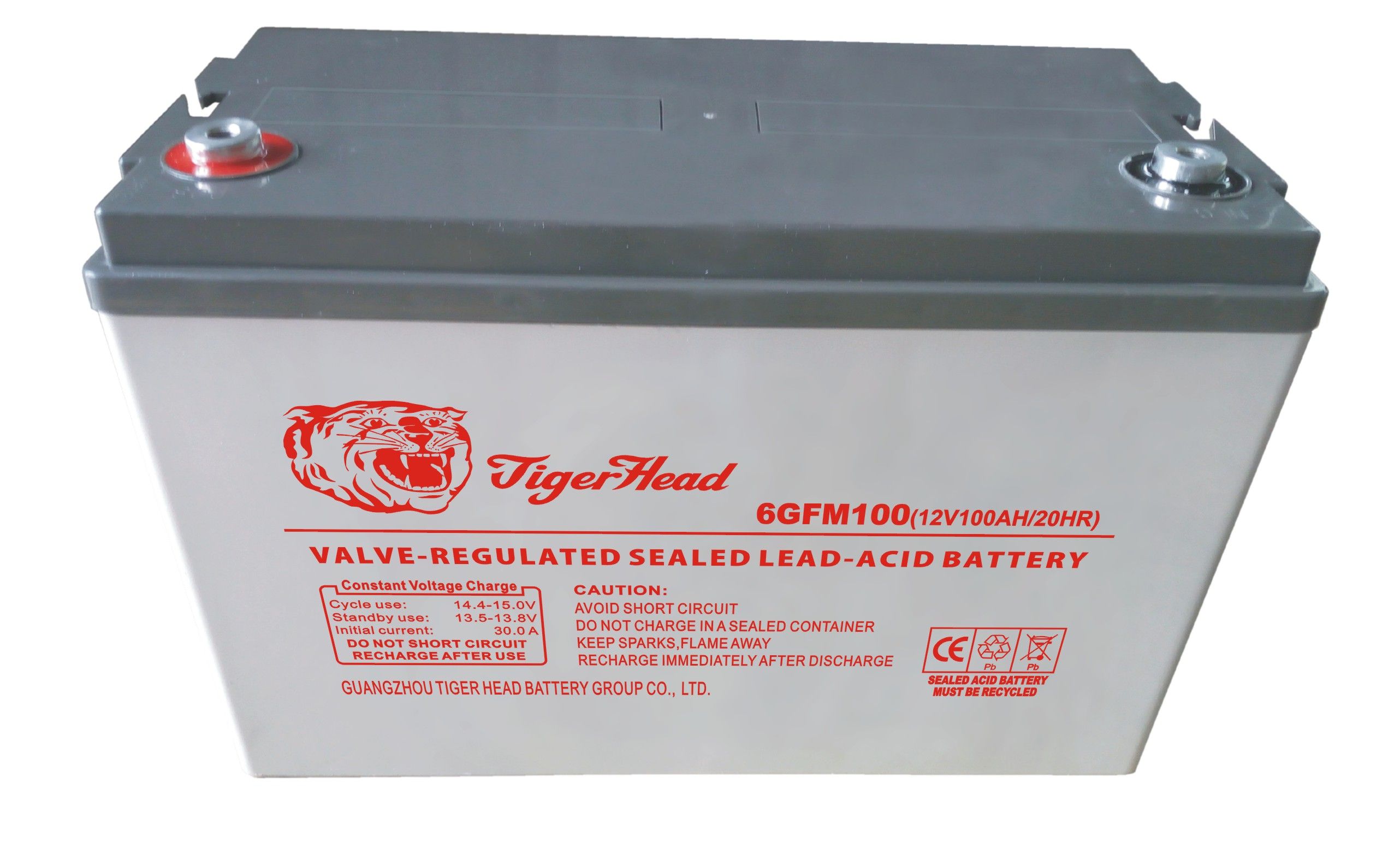 Communication Power Supply AGM Battery 12V100ah