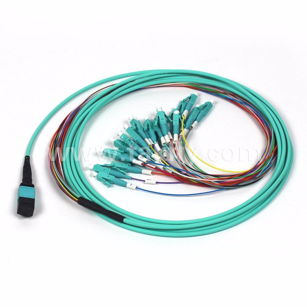 24fiber MPO Bunch Cable 24 Cores Om3 MTP/MPO Patch Cable
