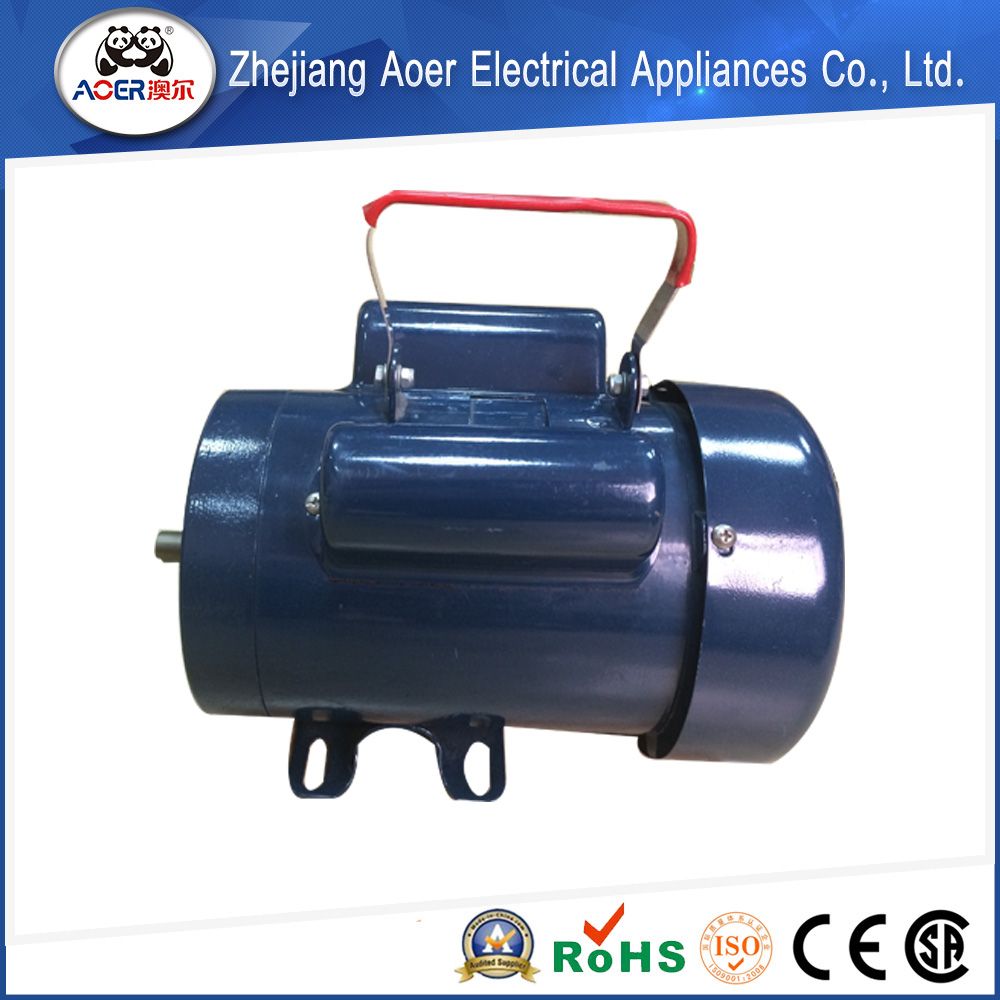AC Industry Capacitor Start AC Induction Motor 110V