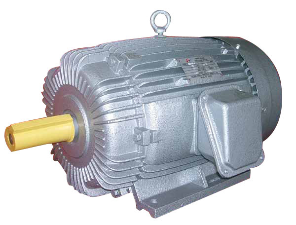 (CE) YO2 Three Phase Induction Motor