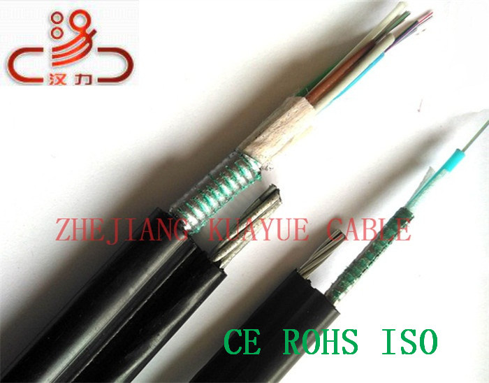 Fig 8 Optical Cable Outdoor/Computer Cable/ Data Cable/ Communication Cable/ Connector/ Audio Cable