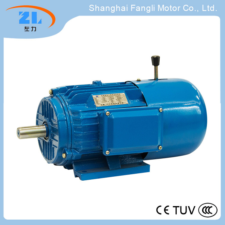 Yej132s1-2 Yej Series Electromagnetic Braking Three Phase Induction Motor
