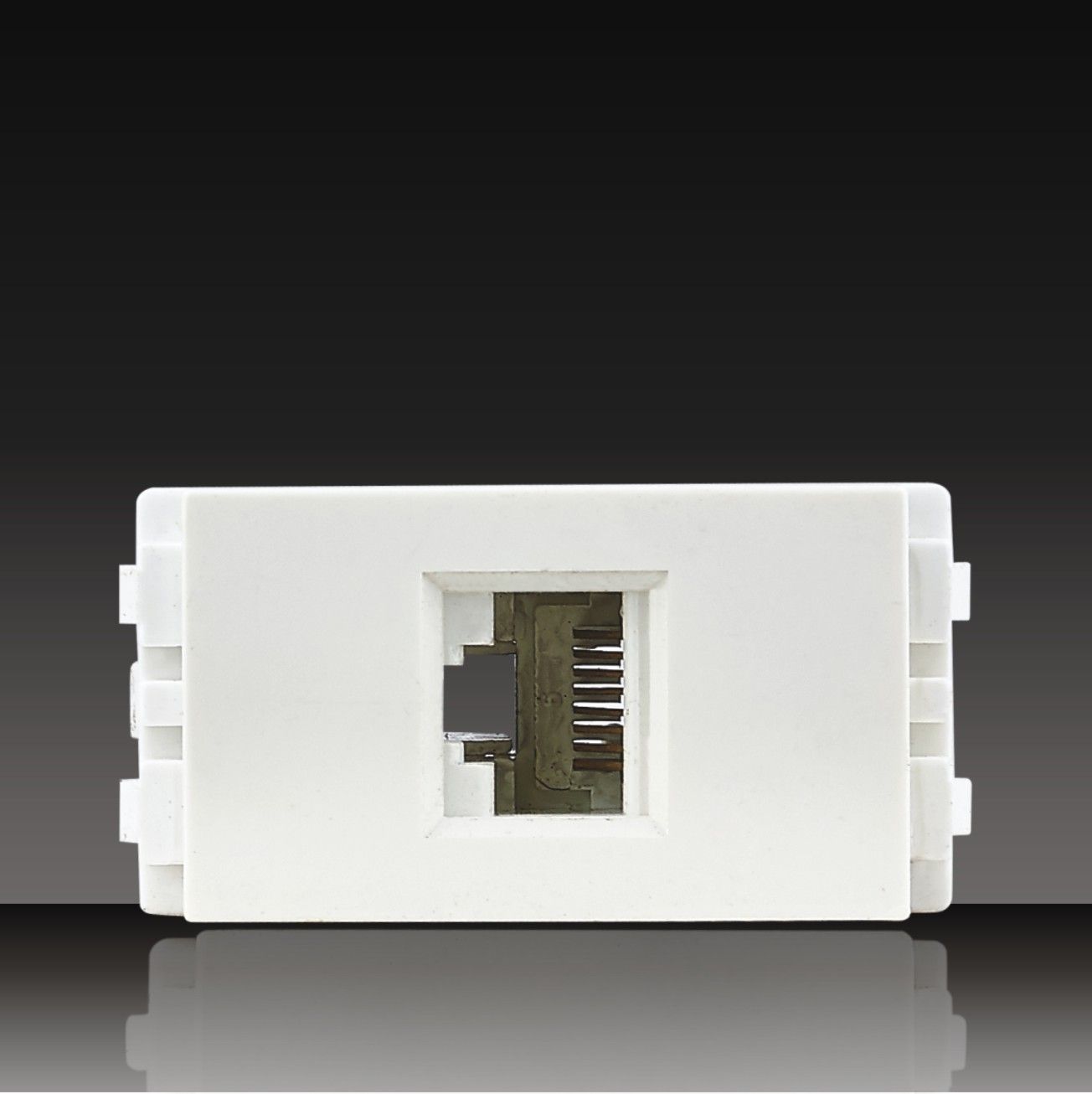 RJ45 Data Socket with Protection Door (LGL-11-53)