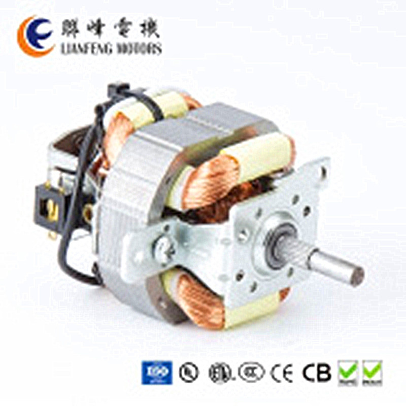 AC Motor for Blender Torque Can Be Designed as Requirments