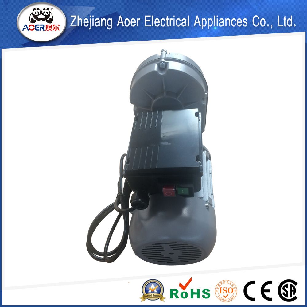 Exquisite Free Sample Environment-Friendly Small Gear Reducer Motor