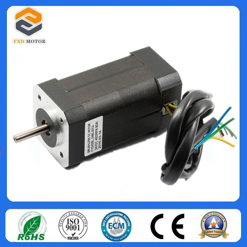 42mm Brushless DC Motor with SGS Certification