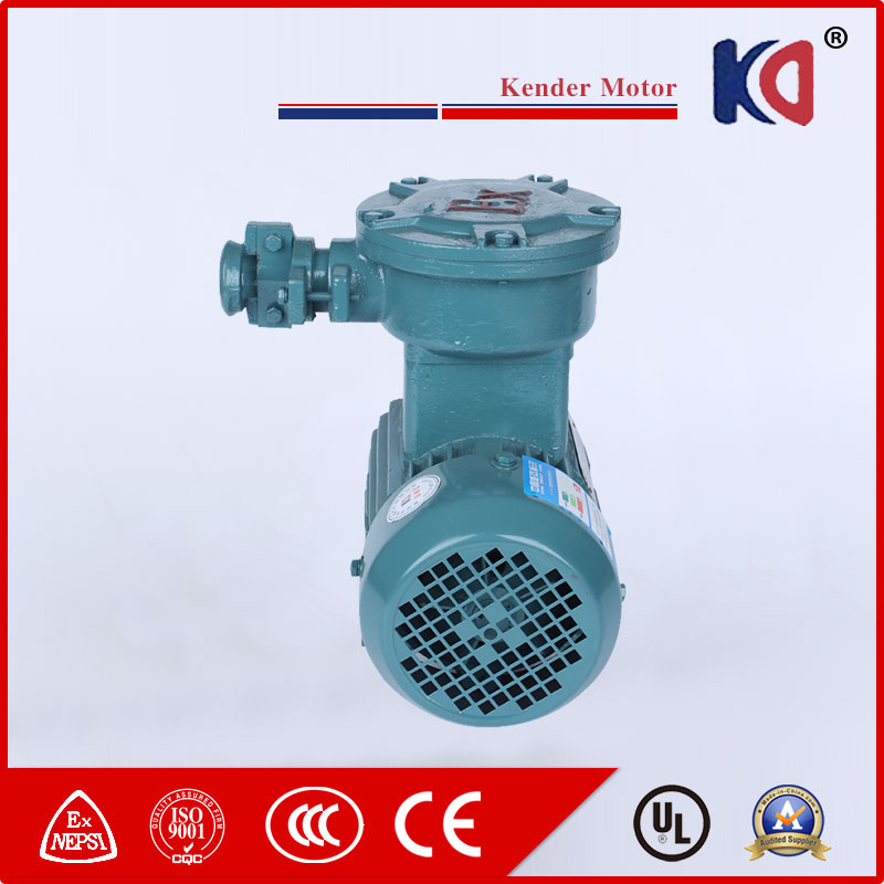 AC Induction Flame Proof Motor with IP55 Protection Class