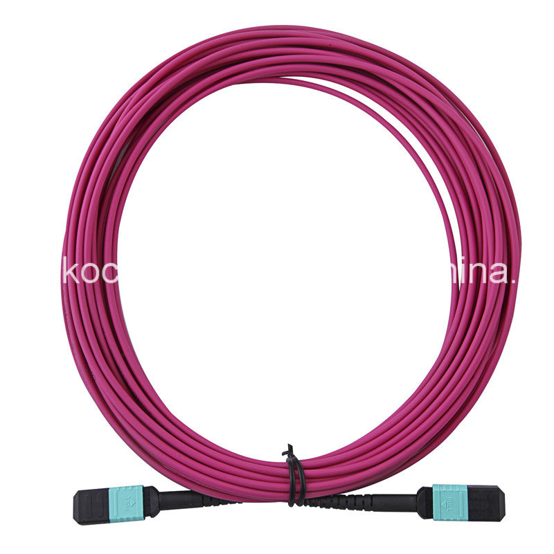 MPO/MTP Om4 Violet Fiber Optical Patchcord