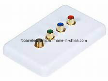 USA Style RCA +F Jack Connector Wall Mount Plate