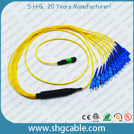 MPO-Sc12 Single Mode Duplex Fibers Optic Patch Cord