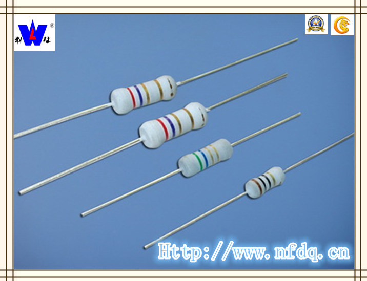 Rxf Wirewound Fuse Resistor with ISO9001