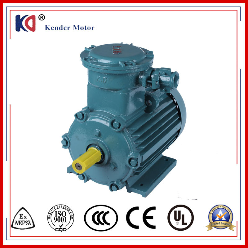 AC Induction Phase Ex-Proof Motor with Energy Saving