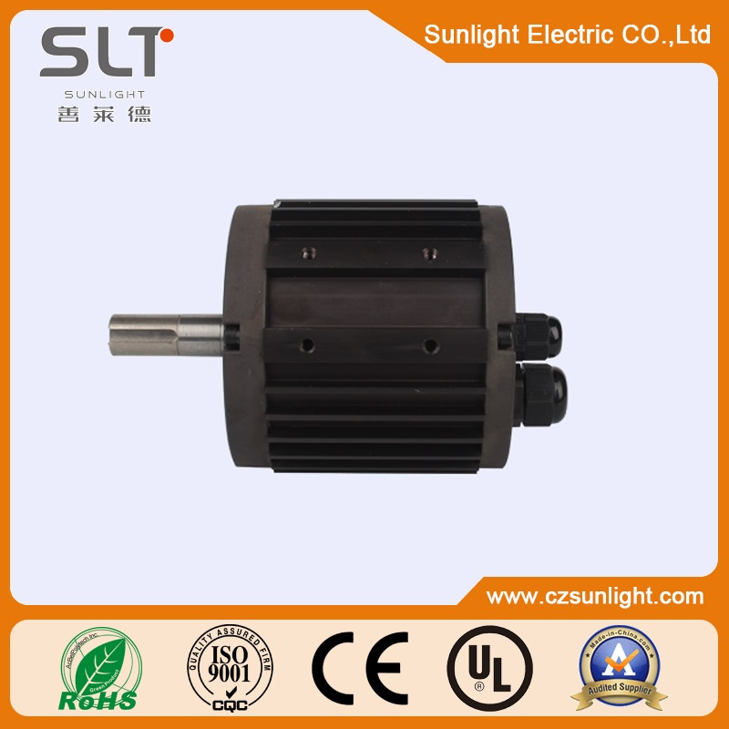 Slt110slf Brushless DC Motor 315V for Electric Tools