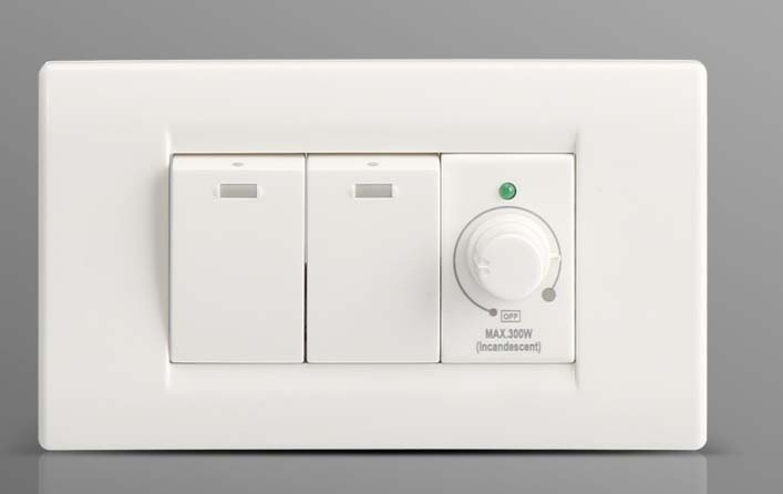 2 Gang Switch with 1 Dimmer