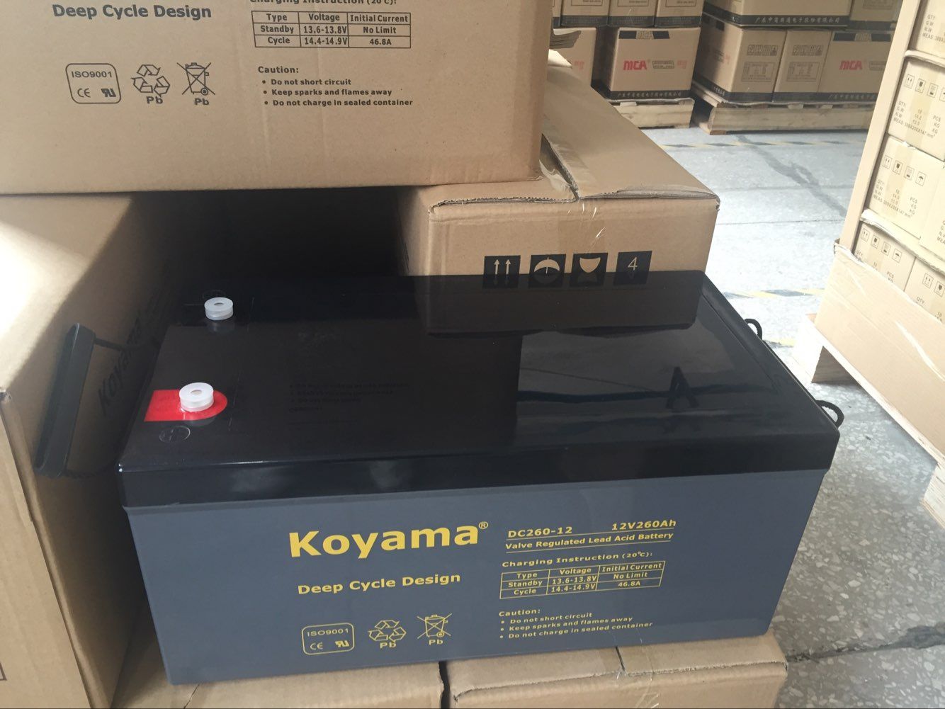 Long Life Deep Cycle Battery 12V 260ah for Renewable Energy Systems DC260-12