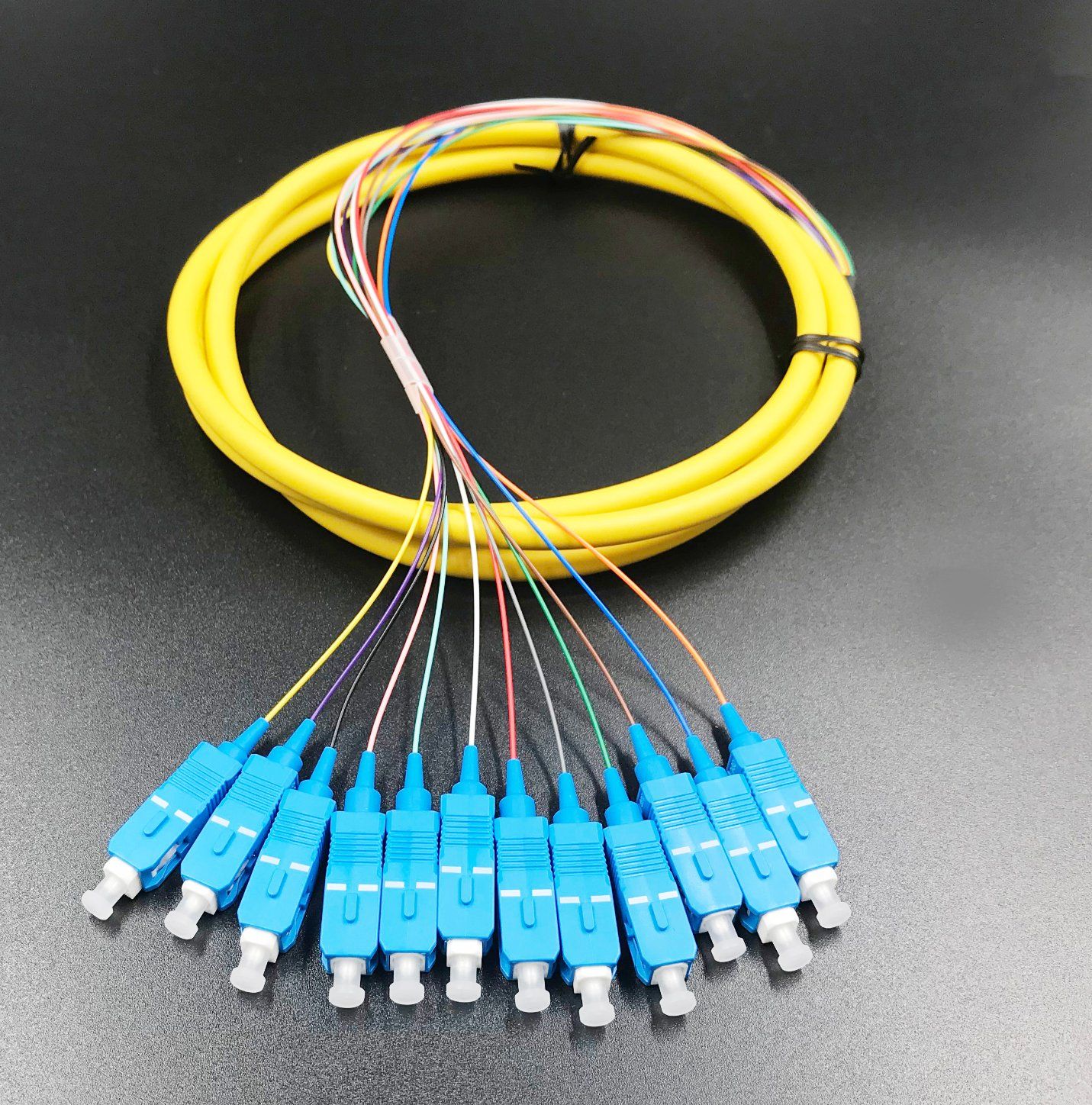 Optical Fiber 12 Cores Bound Pigtail for Network Transmission and Wireless CCTV
