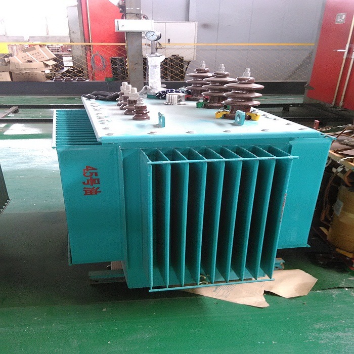 Electrical Equipment Oil Immersed Type High Voltage Step-Down Transformers