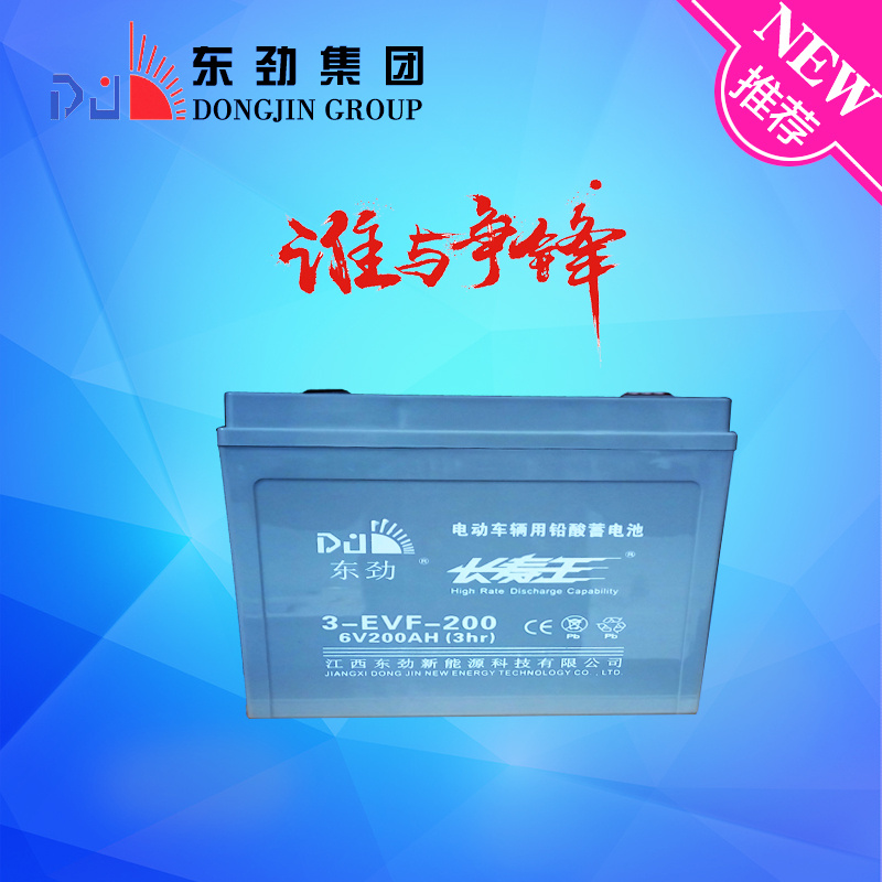 6V200ah Competitve Price Deep Cycle Car Battery