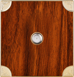 British Standard Satellite Socket Flat (N6)
