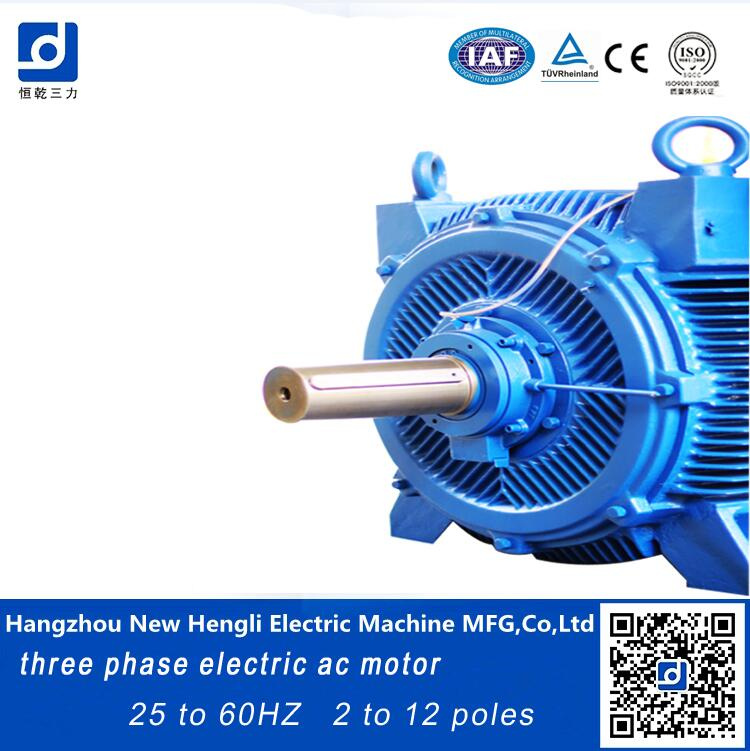 Three Phase Induction 410kw Yvfz Series AC Motor