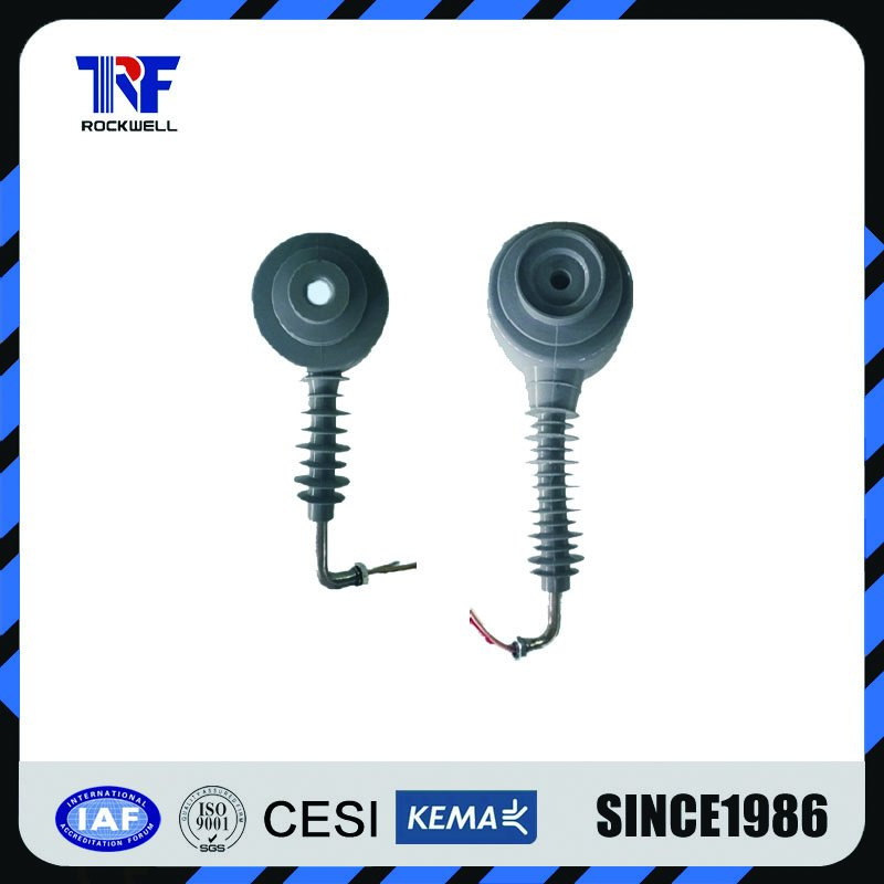 Lzw32-11, 22, 33 Outdoor Current Transformer/CT/Instrument Transformer