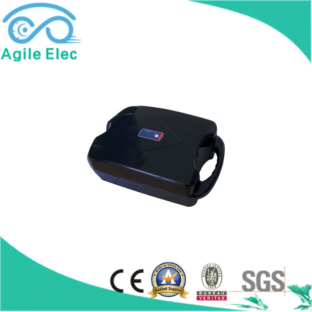 36V 9ah Samsung Frog Type Lithium Battery with Ce Certificate