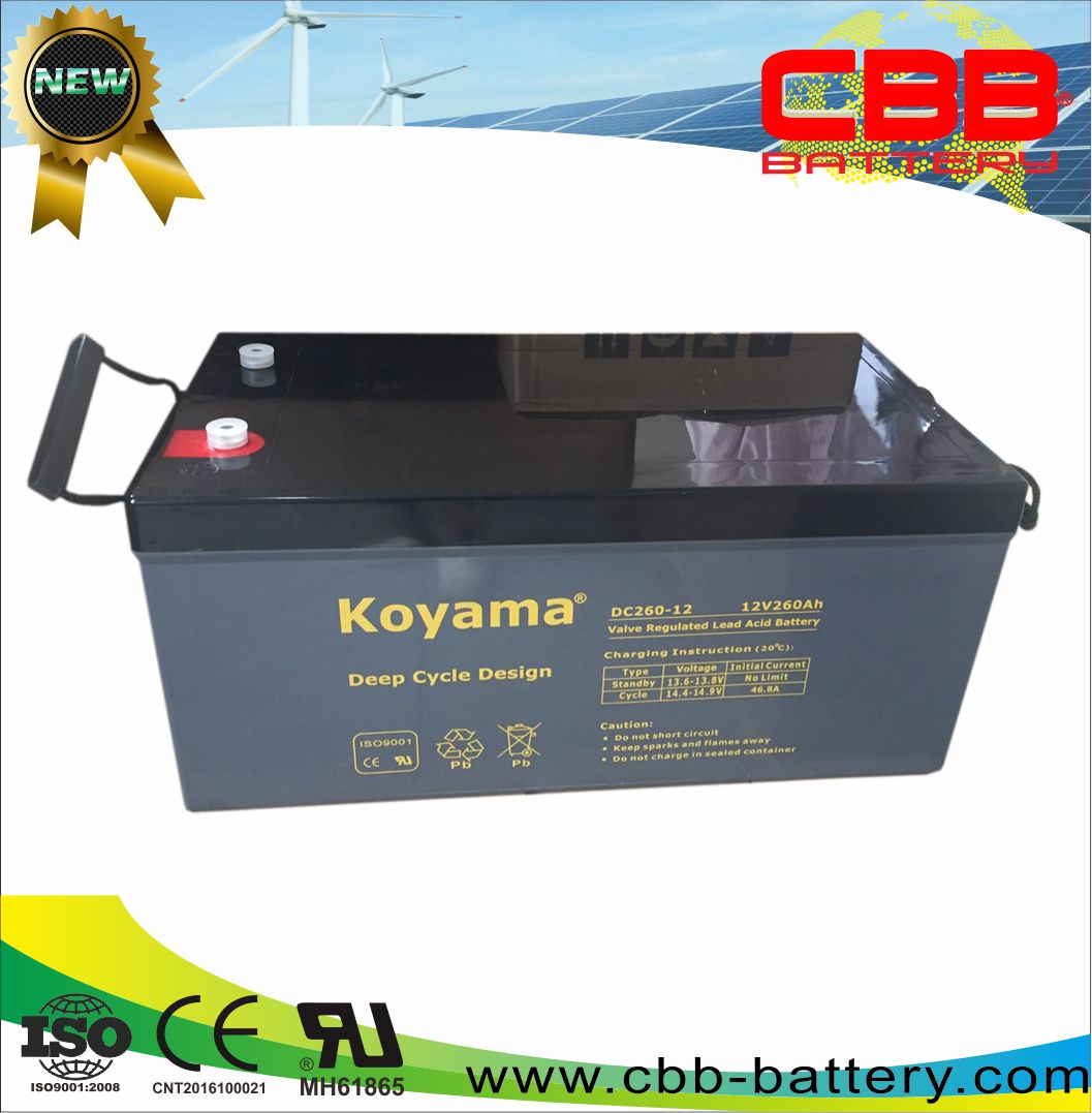 Truly 12V 260ah Heavy Duty Deep Cycle AGM Battery