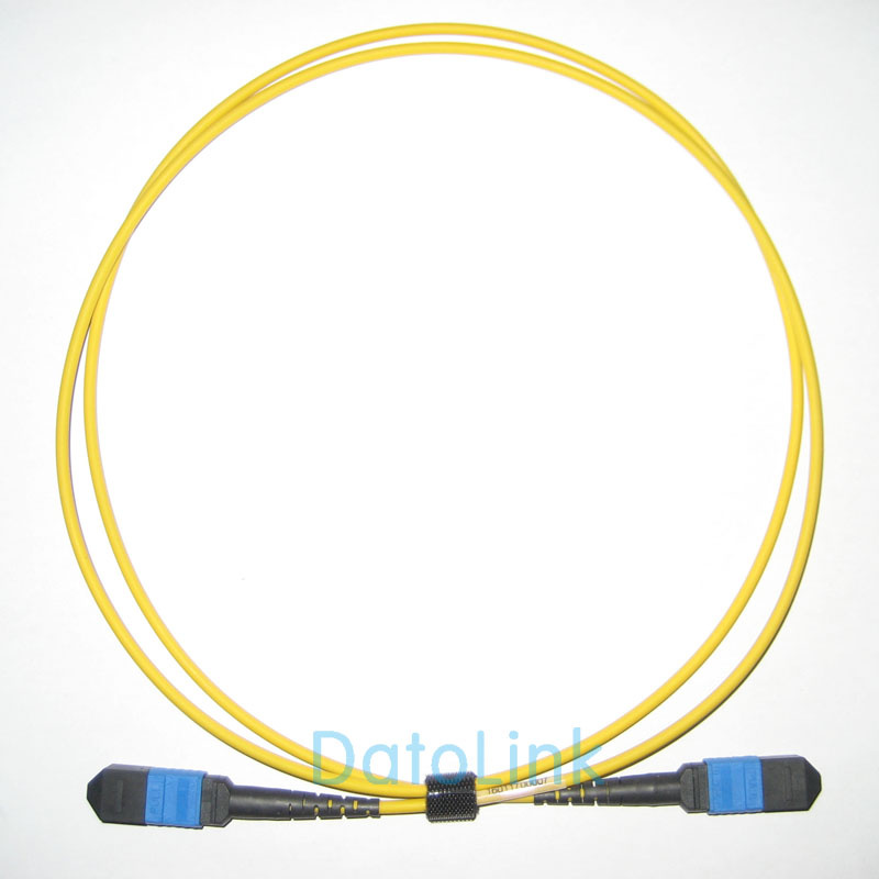 MPO-MPO Sm Patch Cord 12cores
