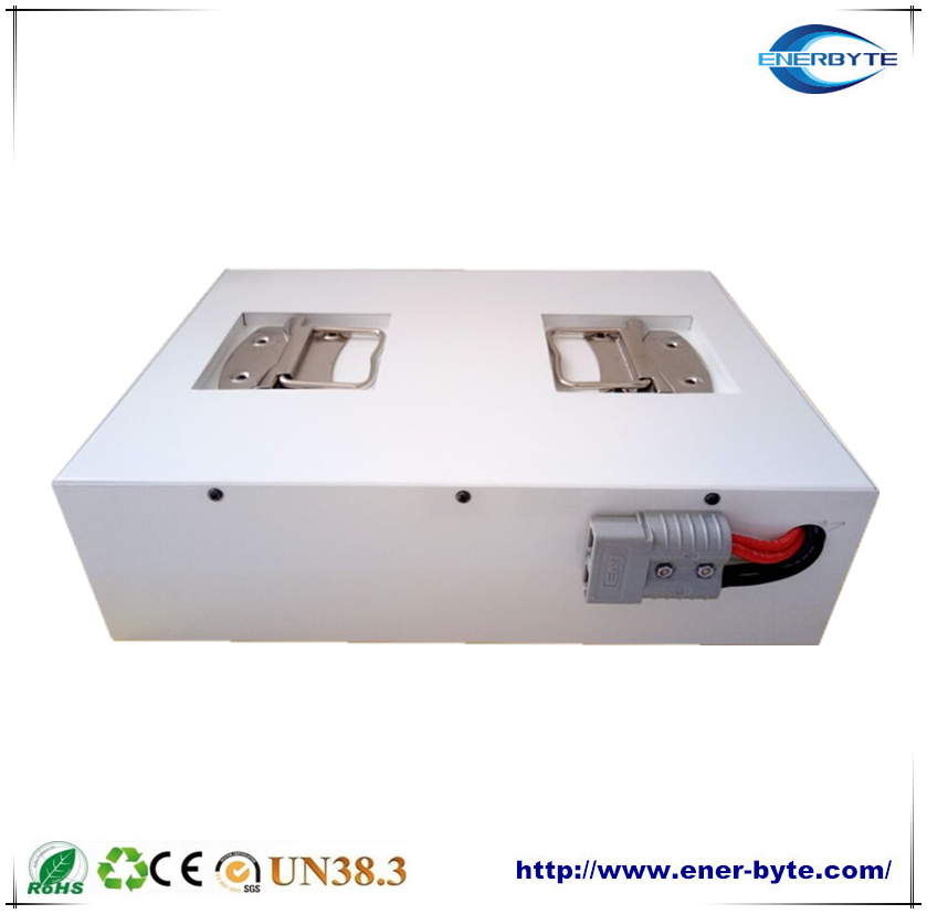 Agv/ Ess LiFePO4 Battery Pack 24V 60ah/100ah