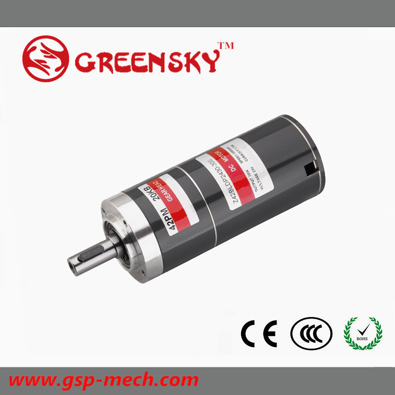 GS 12V/24V 25W 42mm Planetary Brushless DC Motor
