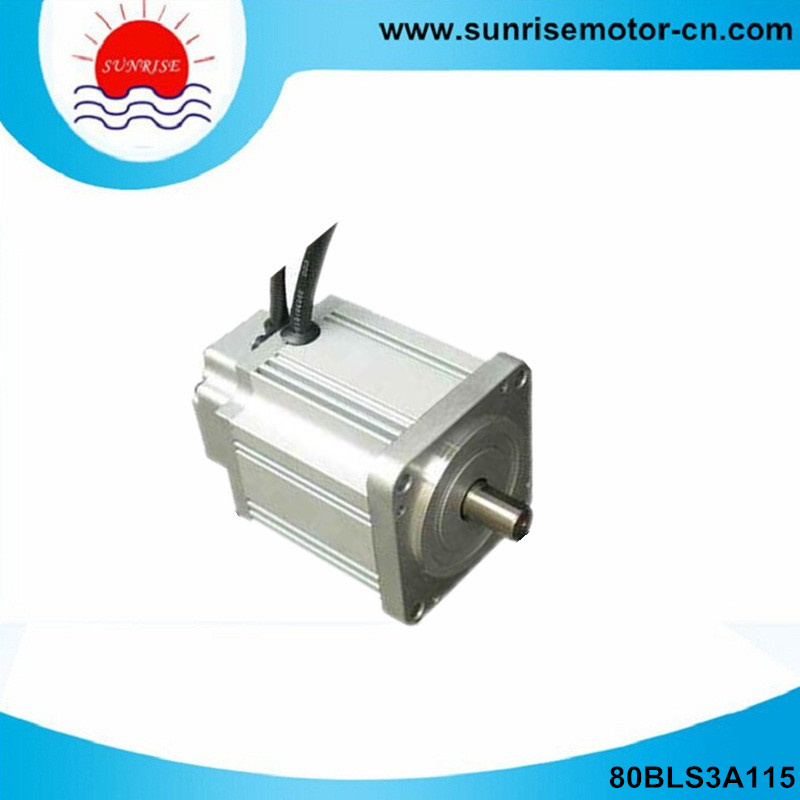 80mm 310V DC Servo Motor with Hight Voltage