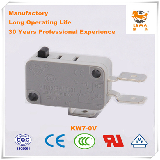 Lema 16A Grey Kw7-0V Micro Switch