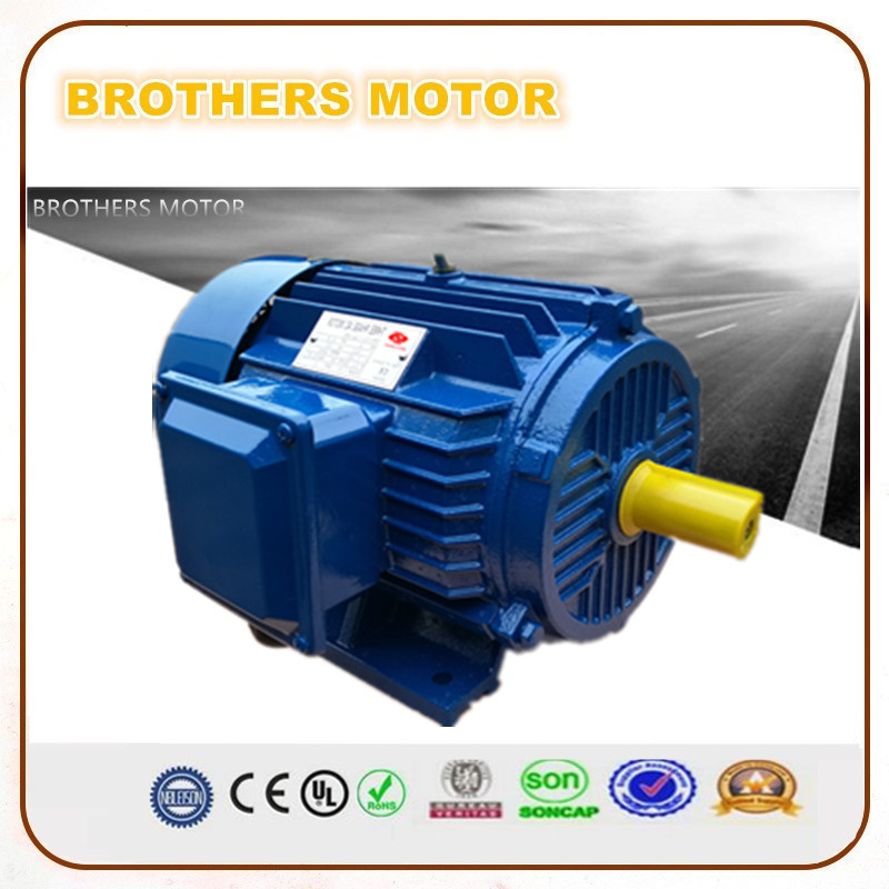 AC Three Phase Electric Motor