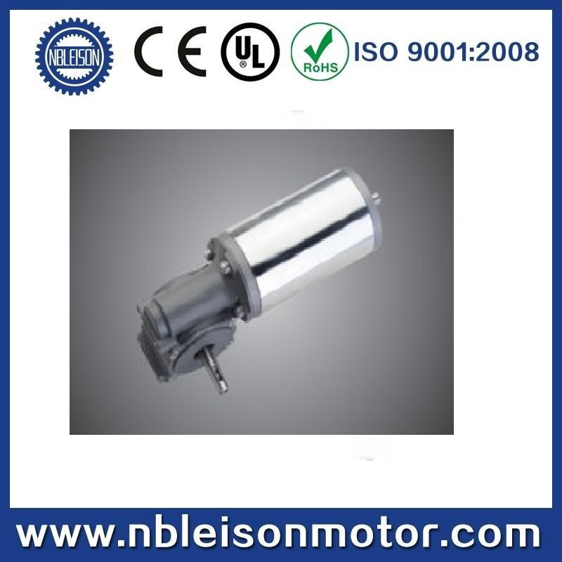60W 24V 48V 60V DC Brush Gear Motor for Automatic Door
