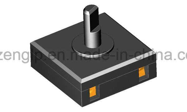 Liquidizer Use Rotary Switch