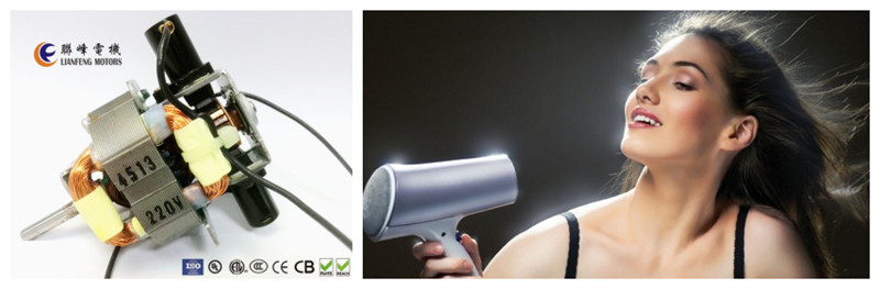 AC Motor for Hair Dryer with CCC/Ce/RoHS