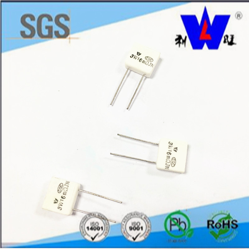 Rgc Ceramic Encased Wire Wound Power Resistor with ISO9001