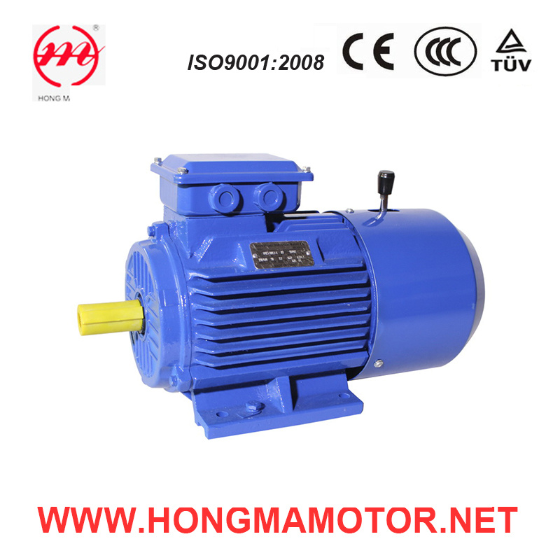 DC Motor/Three Phase Electro-Magnetic Brake Induction Motor with 4poles-0.37kw