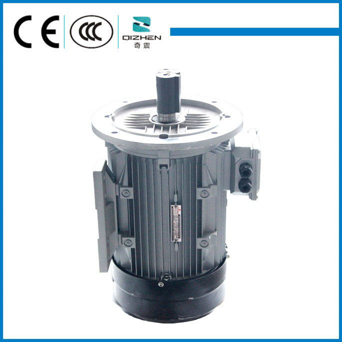 B5 Aluminium Body Three Phase Motor