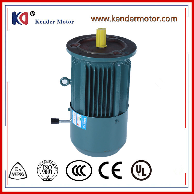 High Efficiency and Torque Three Phase Brake Induction Electric (Electrical) Motor