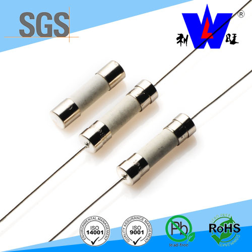 1A-5A UL Approved Ceramic Fuse with Size 3.6*10 5*20