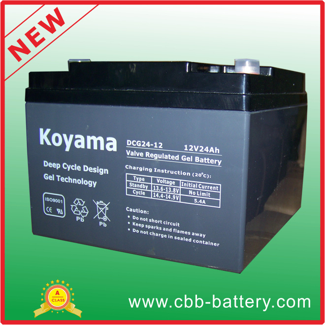 12V 24ah Deep Cycle Gel Battery for UPS/Surge Protector
