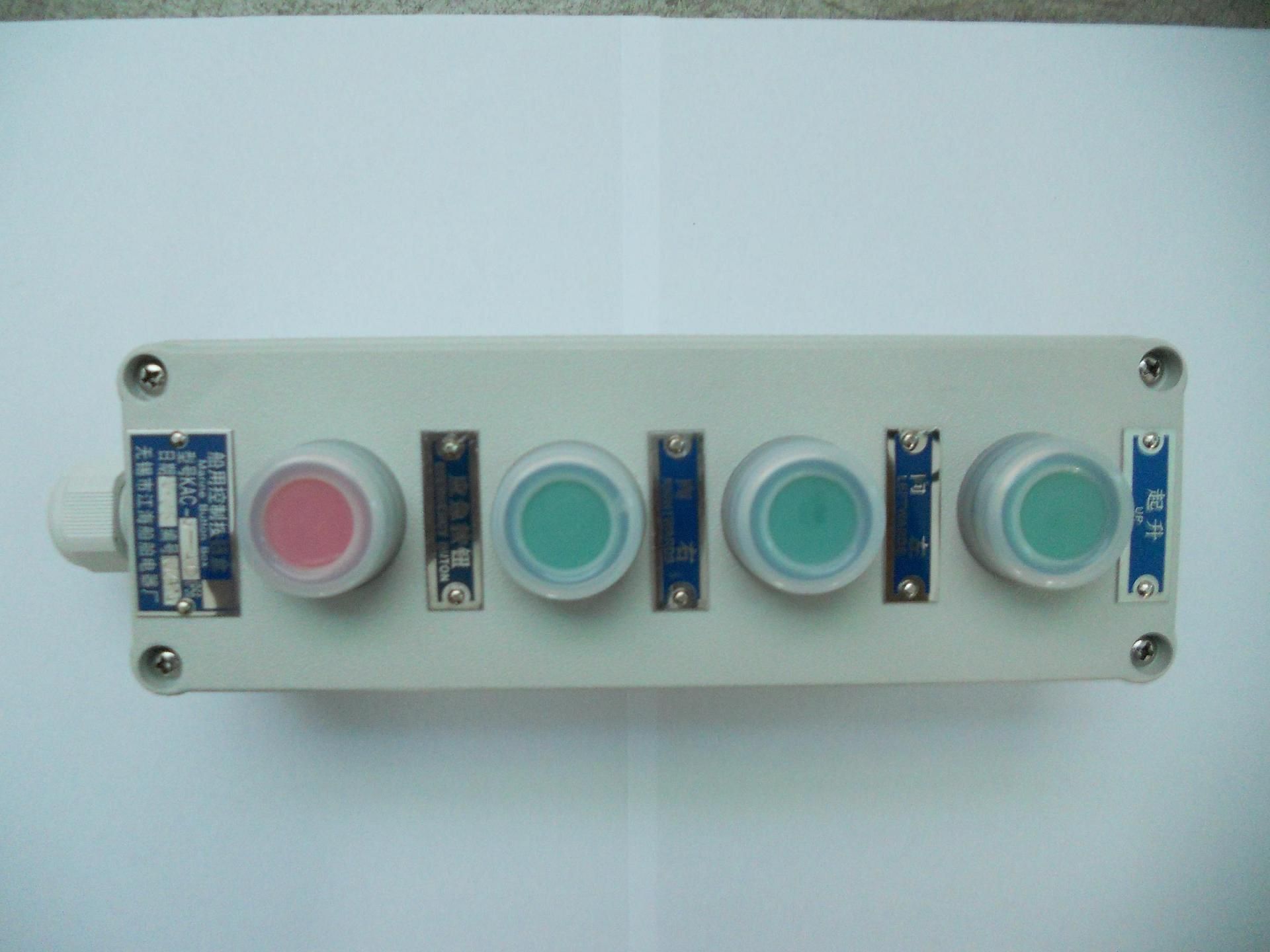 Control Button (KAC-G-4B)